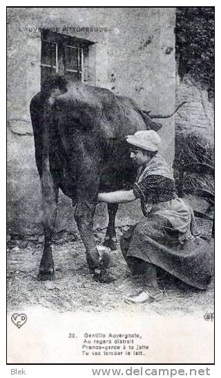 63.auvergne Pittoresque .gentille Auvergnate . - Bauernhöfe