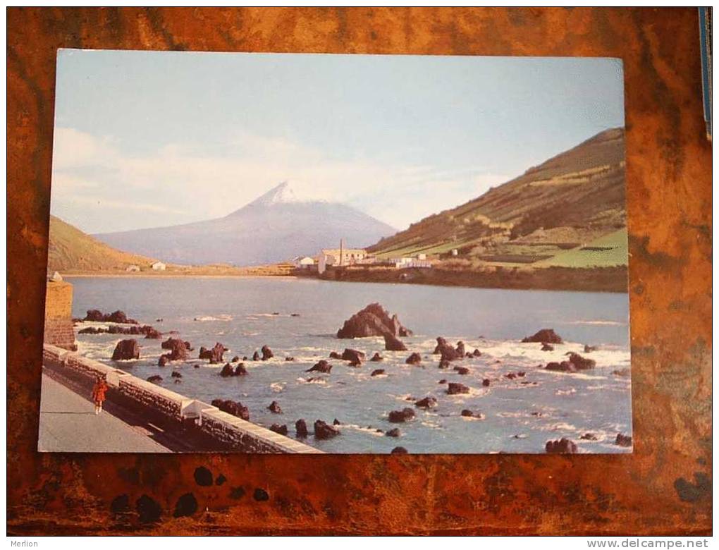 Portugal - FAIAL - Acores    VF/XF  Cca 1960-70´s  D11390 - Açores