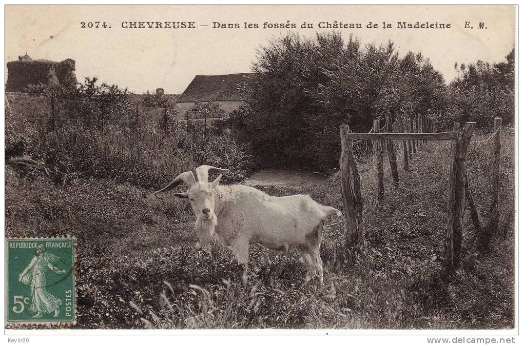 78 CHEVREUSE Dans Les Fossés Du Château De La Madeleine - Chevreuse