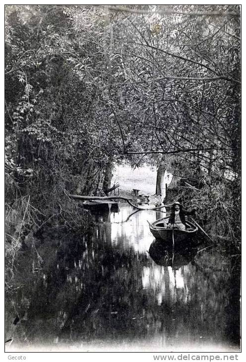 Un Coin De La Marne Sous Bois - Esbly