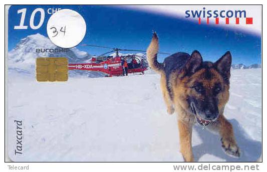 Télécarte Hélicoptère (34) HELICOPTER - CHOPPER - Hubschrauber - HELICÓPTERO - Elicottero - Avion - Phonecard - Dog-Hund - Airplanes