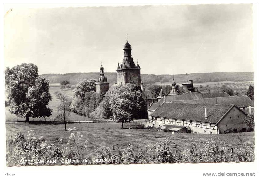 B1428  SIPPENAECKEN : Chateau De Beusdael - Blieberg