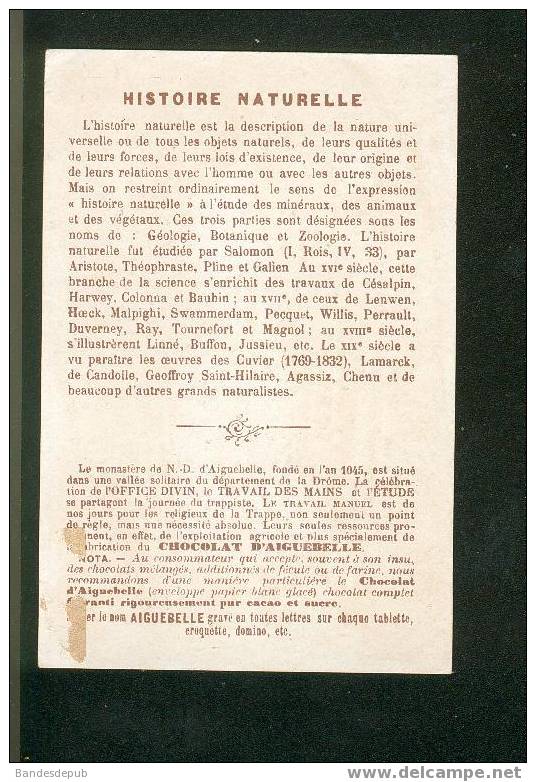 Aiguebelle Belle Chromo Dorée Thème Histoire Naturelle Buffon Cuvier ... Lire Texte Au Dos Naturalisme éléphant - Aiguebelle