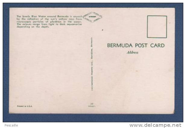 CP VOILIER AUX BERMUDES - BERMUDA POST CARD - Bermudes