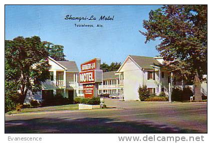 TUSCALOOSA SHANGRI LA MOTEL REF2542 - Tuscaloosa