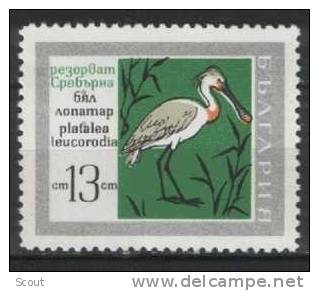 BULGARIA - BULGARIE - 1968 - SPATULE - YT 1631 ** - Cigognes & échassiers