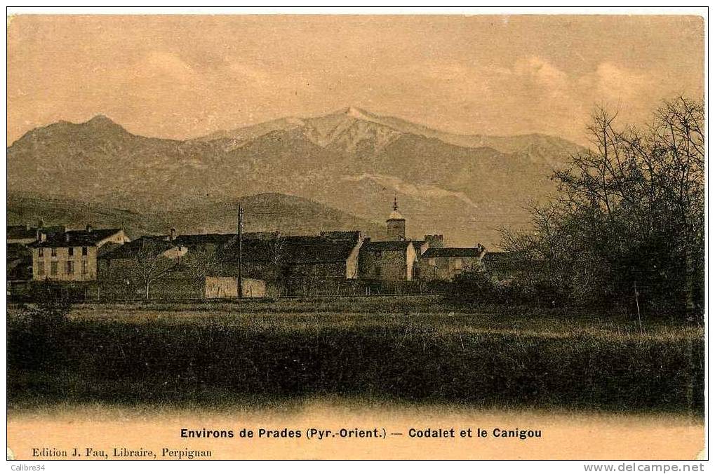 66 Environs De Prades Codalet Et Le Canigou ( Fau EMAIL Perpignan ) - Prades