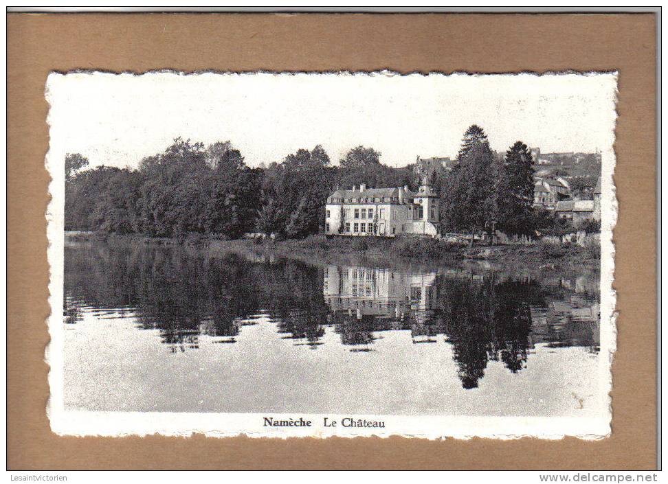 NAMECHE MEUSE ET CHATEAU - Andenne