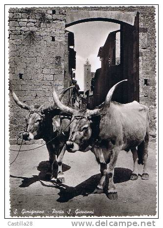 Cpsm ITALIE - SAN GIMIGNANO Porta San Giovanni + Animaux - Altri & Non Classificati