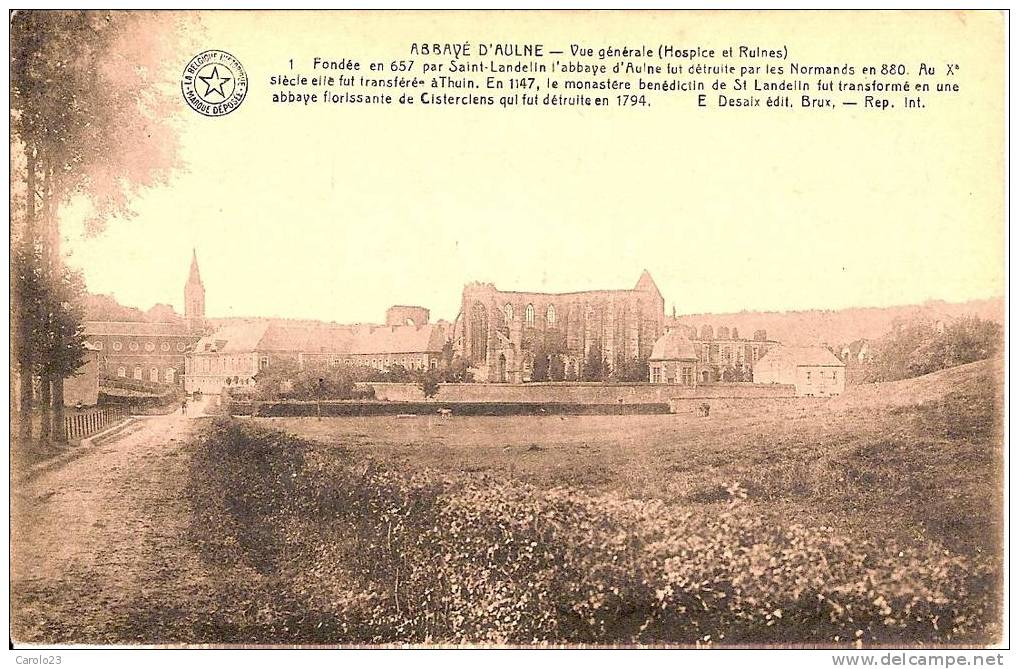 ABBAYE D' AULNE  : VUE GENERALE  -  HOSPICE ET  RUINES - Thuin