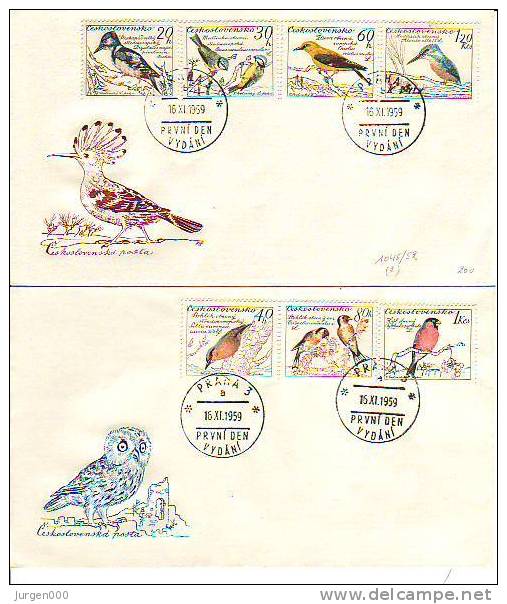 FDC, Tjechoslovakije - Specht (2480) - Piciformes (pájaros Carpinteros)