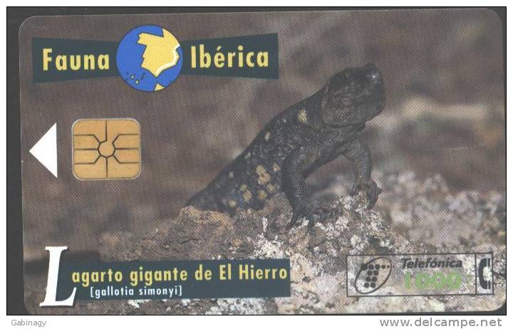 FAUNA IBERICA - 1997.07. - LAGARTO GIGANTE DE EL HIERRO - Emissioni Di Base