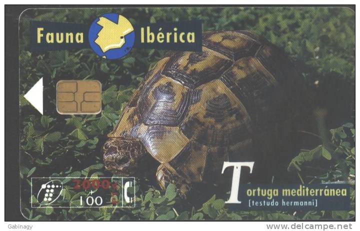 FAUNA IBERICA - 1997.03. - TORTUGA MEDITERRÁNEA - TURTLE - Basisuitgaven