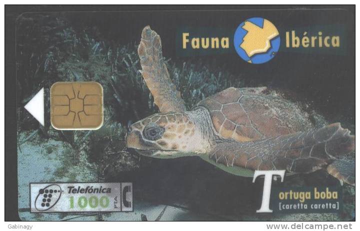 FAUNA IBERICA - 1997.03. - TORTUGA BOBA - TURTLE - Basisausgaben