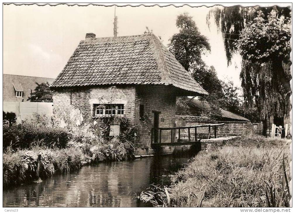 MOL  :  OUDE  WATERMALEN OP DE NETHE - Mol