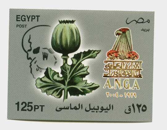 EGYPT S/S  BLOOCKS > 2004 >  DIAMOUND JUBIL AGAINEST DRUGS MNH - Other & Unclassified