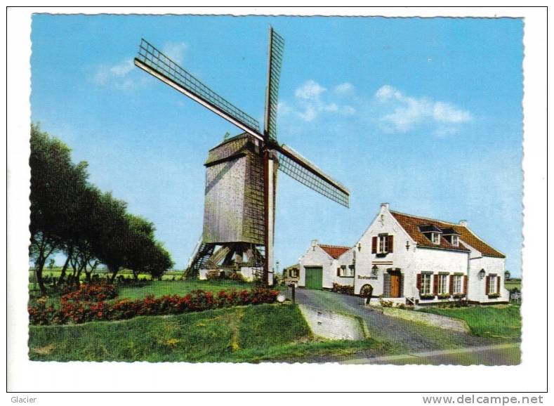 KLEMSKERKE - De Haan - Oude Molen En De Vroegere Molenaarswoning - De Haan