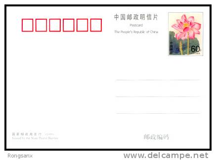 PP 14  CHINA 1999 LOTUS FLOWERS P-CARD - Postcards