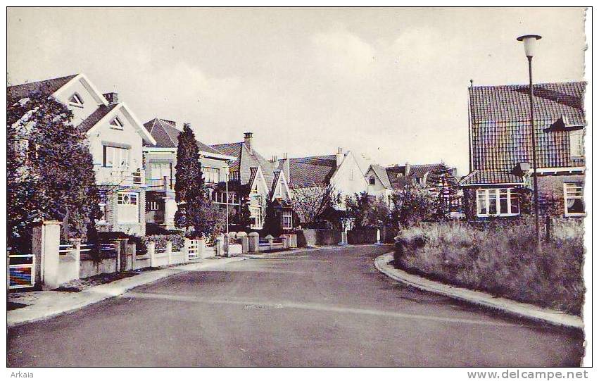 WOLUWE ST PIERRE = Avenue De L'Escrime  (Photoline) Vierge - Woluwe-St-Pierre - St-Pieters-Woluwe