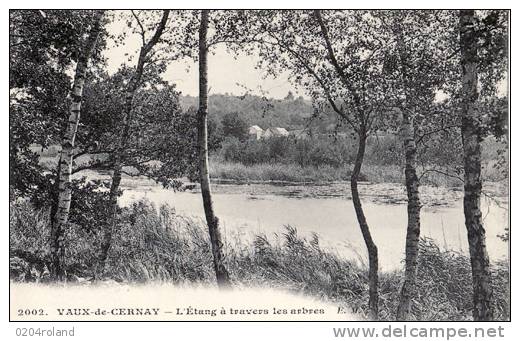 Vaux De Cernay - L'Etang à Travers Les Arbres - Vaux De Cernay