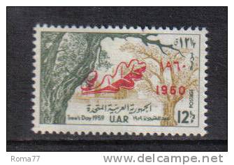 PD326 - SYRIA 1960, Giornata Dell' Albero Serie 143 *** - Syria