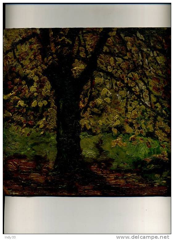 - ARBRE EN AUTOMNE A CÔTE D'UNE PIECE D'EAU . HUILE SUR CARTON NON SIGNEE - Oils