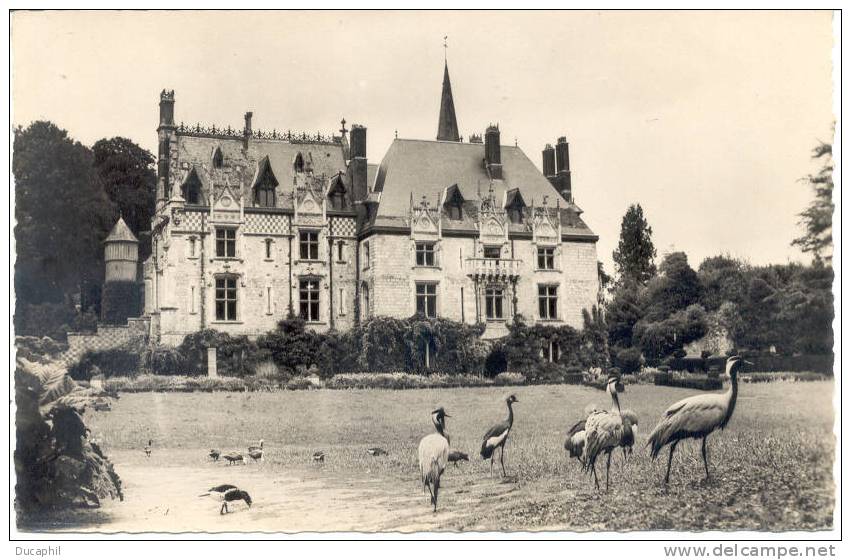 CLERES GRUES COURONNEES ET DEMOISELLE NUMIDEE - Clères