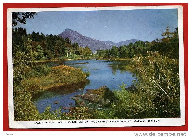 IRLANDE Ballinahinch Lake ,and Ben Lettery Mountain , Connemara , Galway. Franked 1951 GALIMAG - Galway