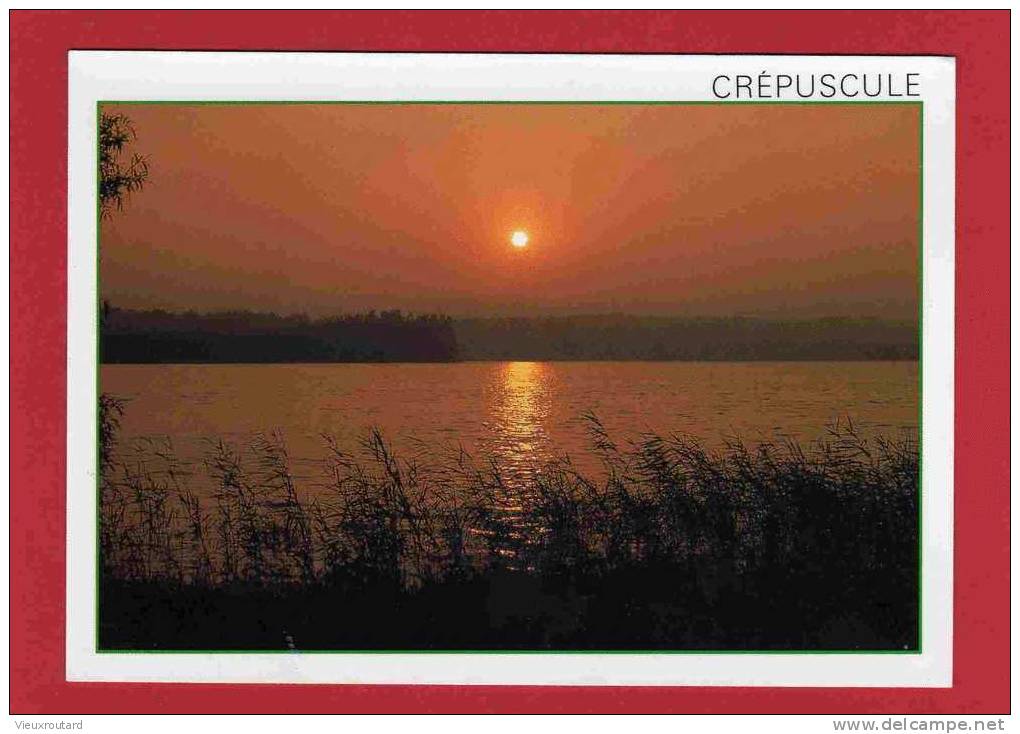 CPSM.  LES LANDES. COUCHER DE SOLEIL SUR L´ETANG. DATEE 1989 - Tegenlichtkaarten, Hold To Light