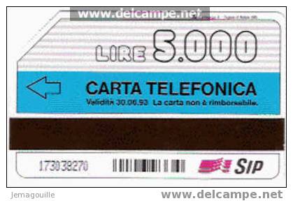 TELECARTE ITALIE 30.06.- 1993 SU VIDEOTEL 505 LIRE 5000 - Sammlungen