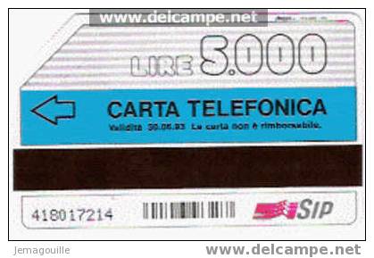 TELECARTE ITALIE 30.06.1993  SCOPRI LA CARTA INFINITA LIRE 5000 * - Collections