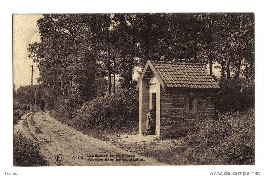 C3017 - Asch - Paysage Dans Les Montagnes - As