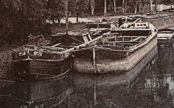 YONNE  /  VILLENEUVE - LA - GUYARD  /  LES  BORDS  DE  L´ YONNE  À  MISY   ( Thèmes :  PENICHES  +  BATELLERIE ) - Villeneuve-la-Guyard