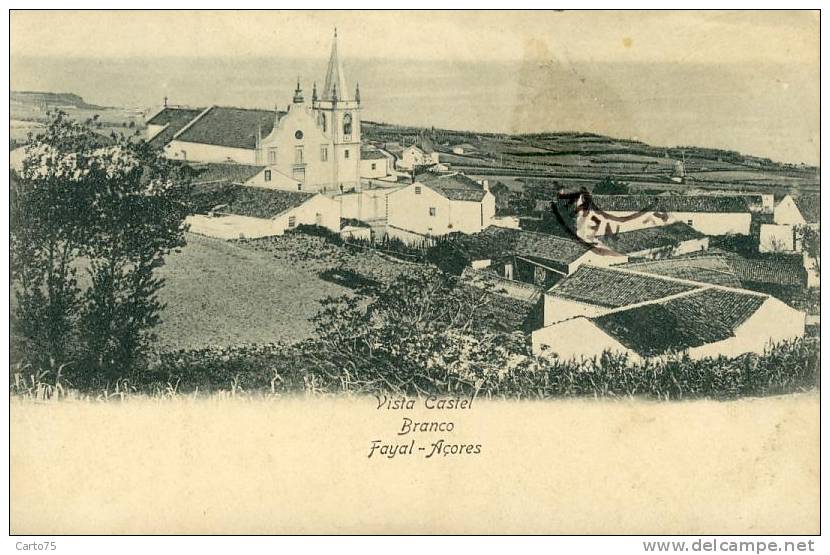 PORTUGAL - ACORES - Fayal - Vista Castel Branco - Açores