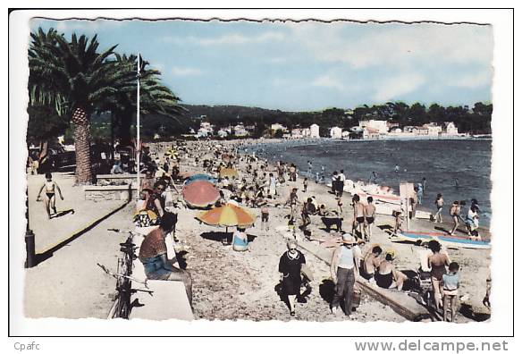 La Seyne Sur Mer , Plage Des Sablettes - La Seyne-sur-Mer