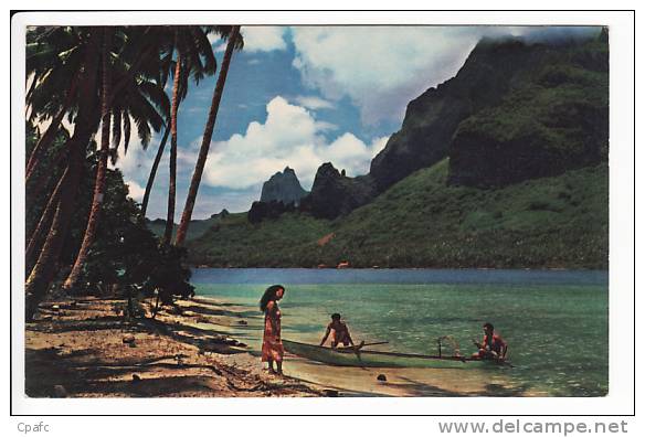 Tahiti , Paopao Bay , Known As Cook's Bay ,at Moorea - Polynésie Française