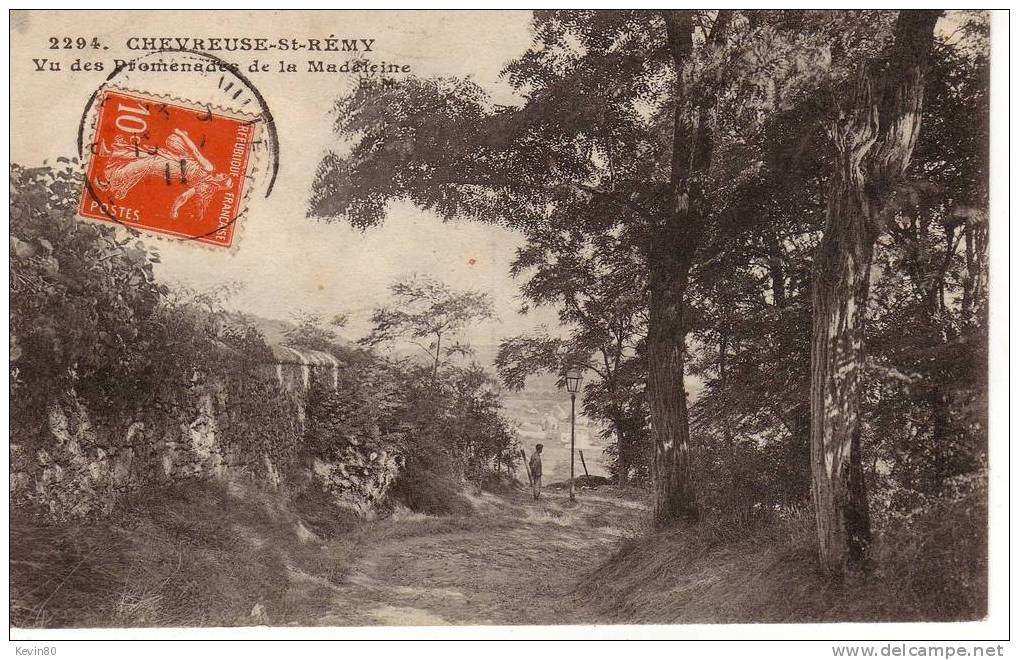 78 CHEVREUSE  Vu Des Promenades De La Madeleine - Chevreuse