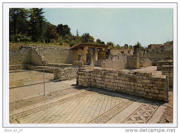 {35645} 84 Vaucluse Vaison La Romaine , La Maison De Messii Et Mosaïque De Laraire ; La Pompei Française - Vaison La Romaine