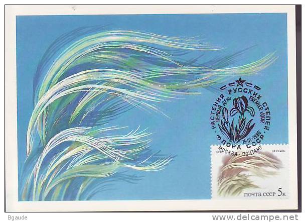 RUSSIE CARTE MAXIMUM NUM.YVERT 5276 FLEURS DE LA STEPPE - Cartoline Maximum