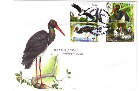 BELARUS - 2005    WWF - BIRDS (Stork) 4v - FDC - Cicogne & Ciconiformi