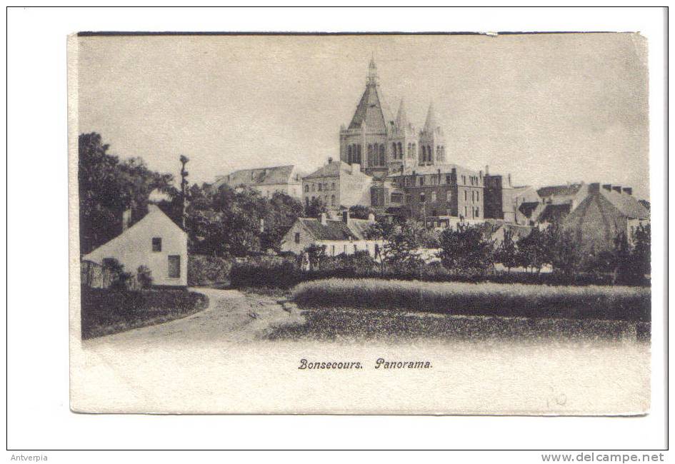 BONSECOURS Panorama (carte Vierge) - Péruwelz