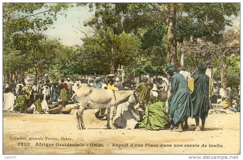 SENEGAL - Place Dans Une Escale De Traite - Ane - Senegal