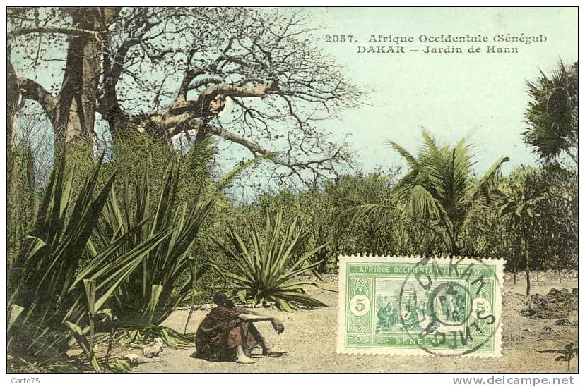 SENEGAL - DAKAR - Jardin De Hann - Senegal