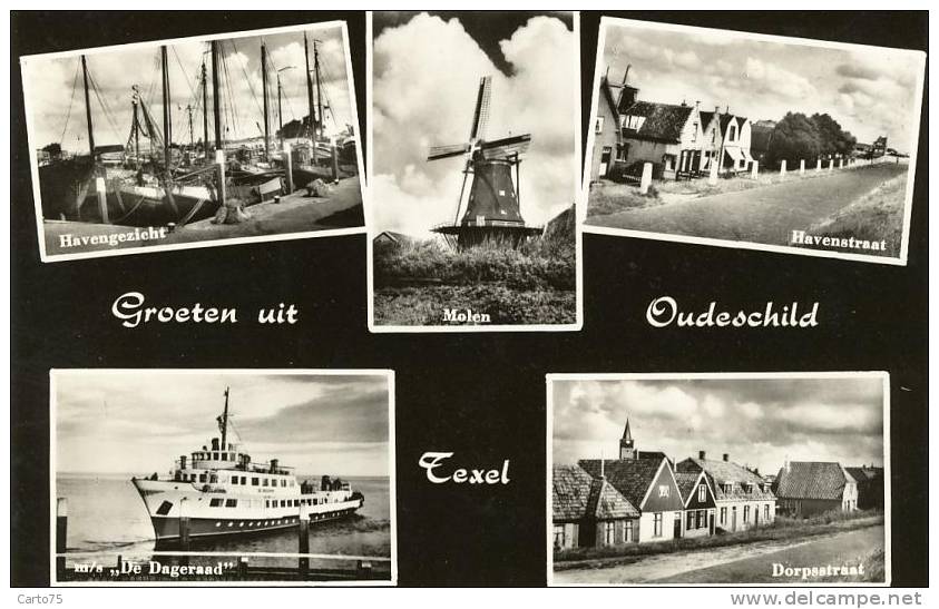 PAYS-BAS - Groeten Uit TEXEL OUDESCHILD - Moulin - Texel