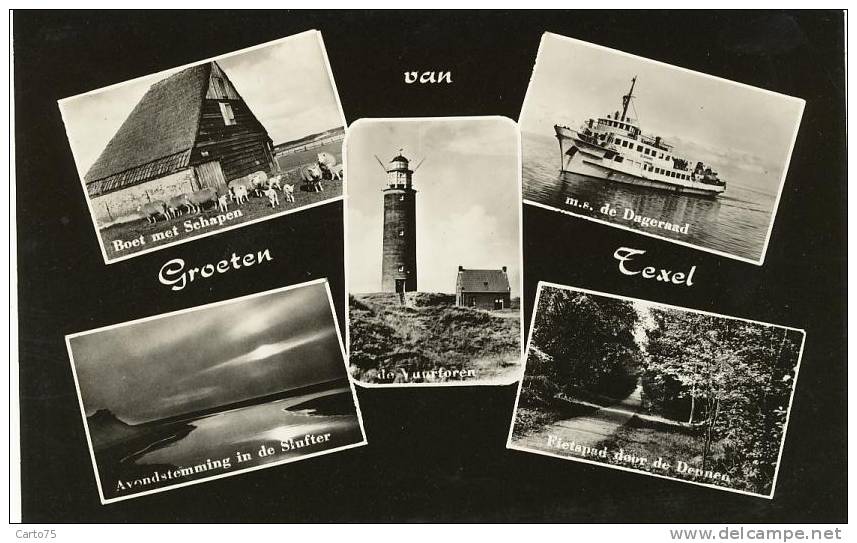 PAYS-BAS - Groeten Van TEXEL - Phare - Lighthouse - Texel