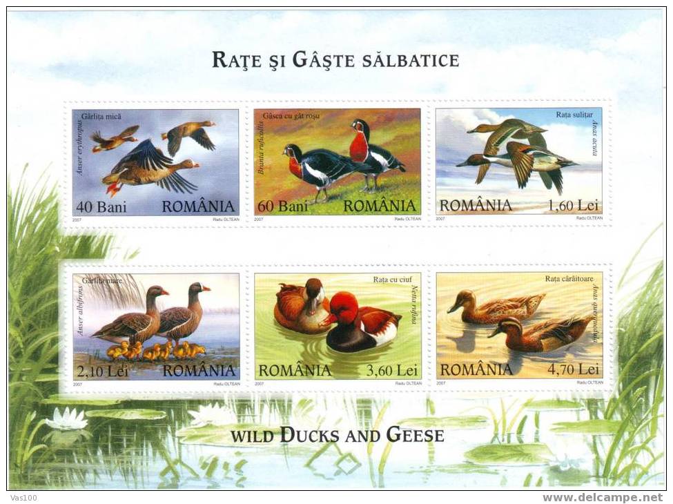 Romania ,2007 BIRDS VERY RARE BLOCK PERFORATED  MNH,OG,TIRAJ LIMITE. - Volledige & Onvolledige Vellen
