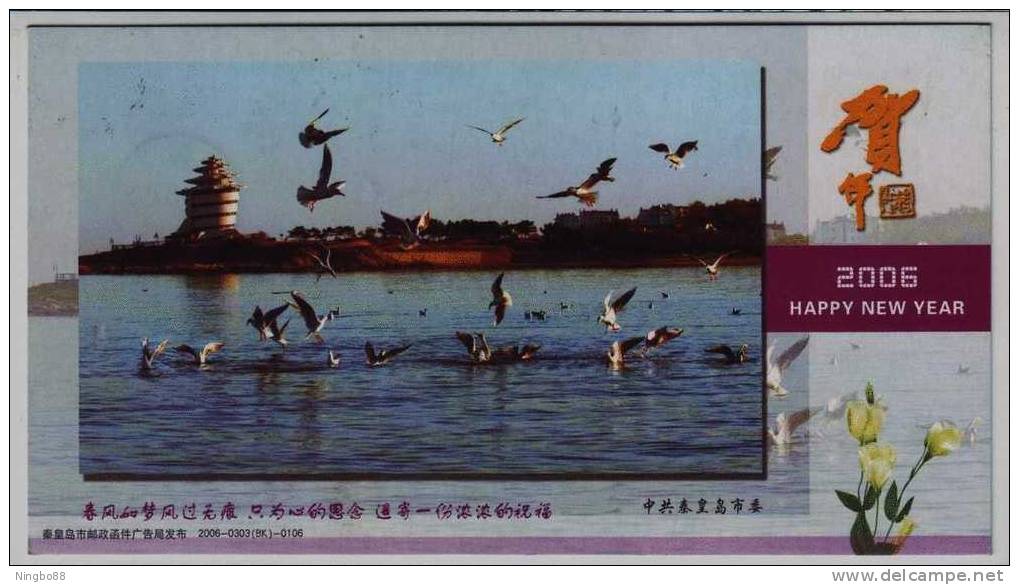 Seagull Bird Fishing,China 2006 Qinhuangdao Landscape Advertising Pre-stamped Card - Meeuwen