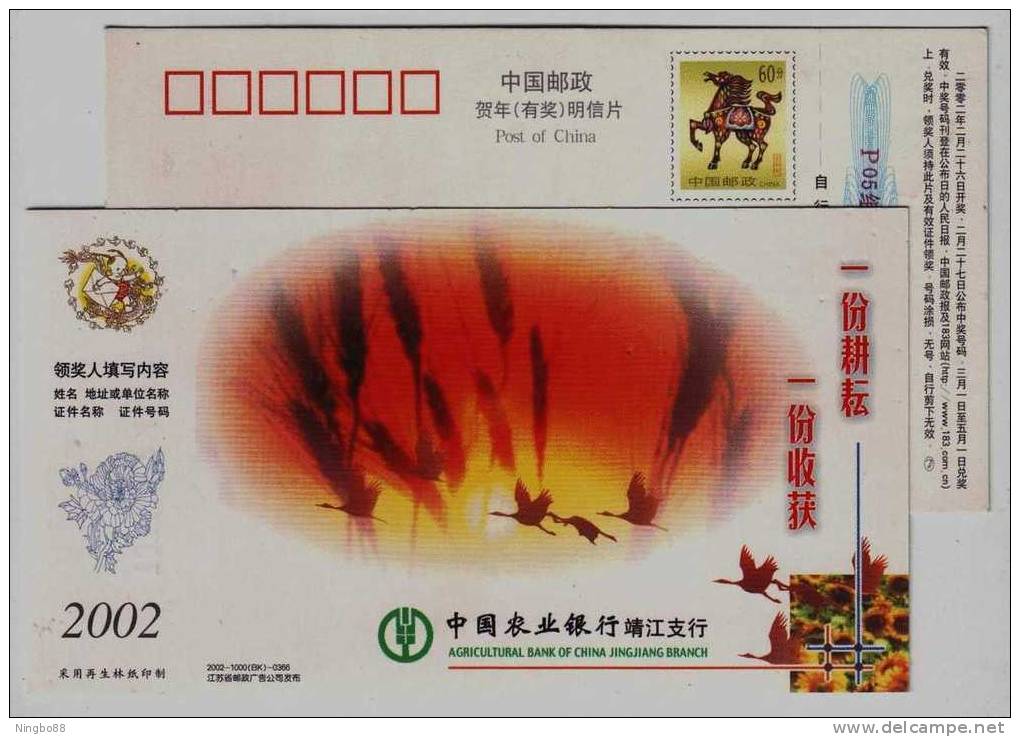 Red-crowned Crane,rice Fringe,China 2002 Jingjiang Agricultural Bank Advertising Pre-stamped Card - Cranes And Other Gruiformes