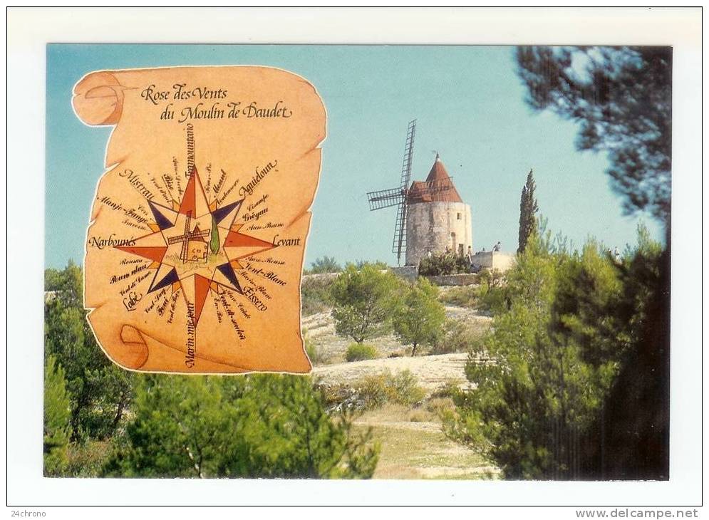 Fontvieille: Le Moulin De Daudet, La Rose Des Vents (07-3661) - Fontvieille