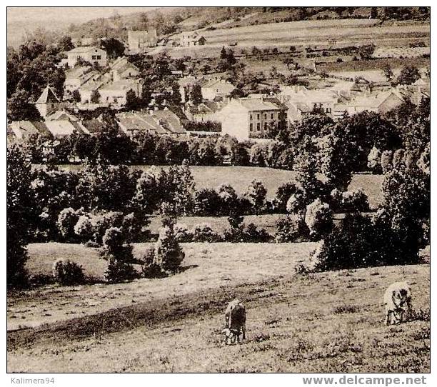 HAUTE-MARNE / NOGENT-EN-BASSIGNY / VUE PANORAMIQUE DE NOGENT-LE-BAS  ( 7 Vaches Au Pâturage ! ) - Nogent-en-Bassigny